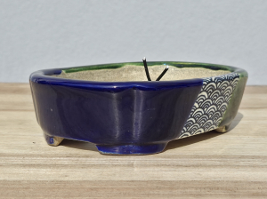 Tokoname Terahata Satomi 162mm × 123mm × 45mm